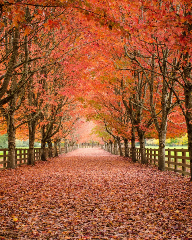 fall skin care